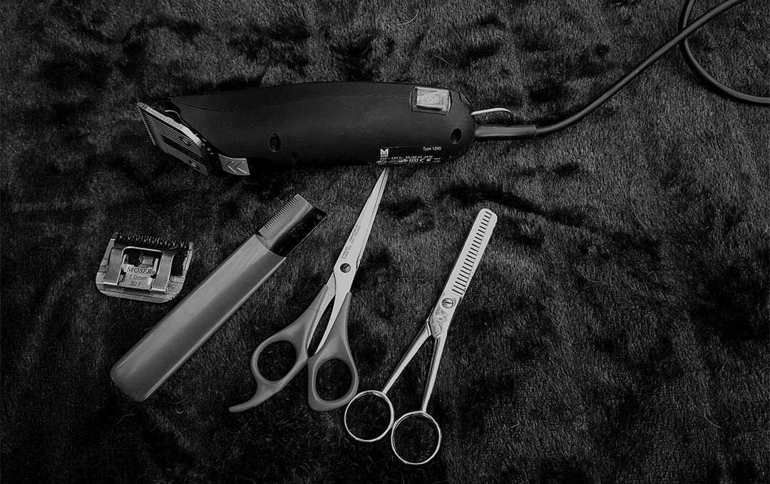 Read more about the article Cras metus sed aliquet risus a tortor